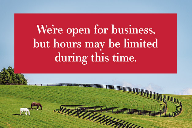 Dovery Saddlery Lexington, VA storefront
